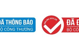 Thủ tục thành lập công ty và đăng ký website 2020