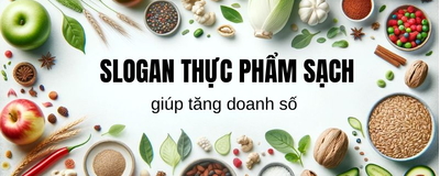 10+ slogan thực phẩm sạch thu hút giúp tăng doanh số