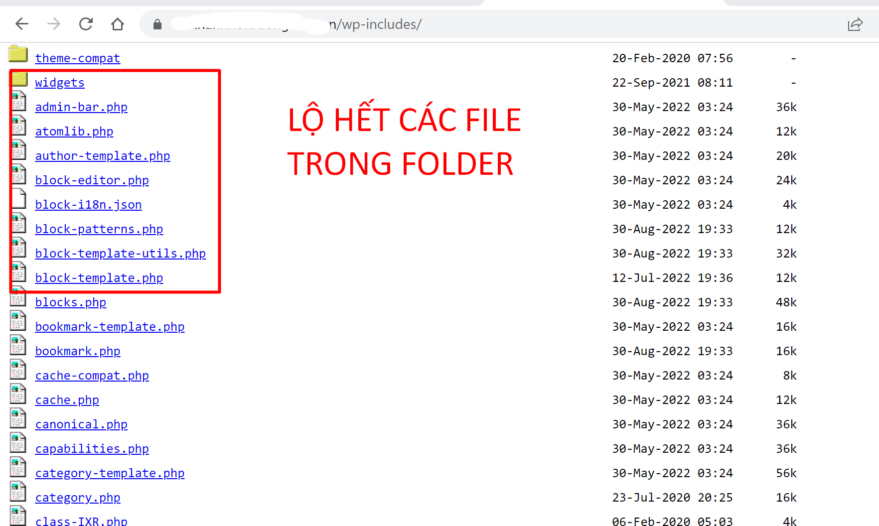 Bảo mật folder không được hiển thị các file