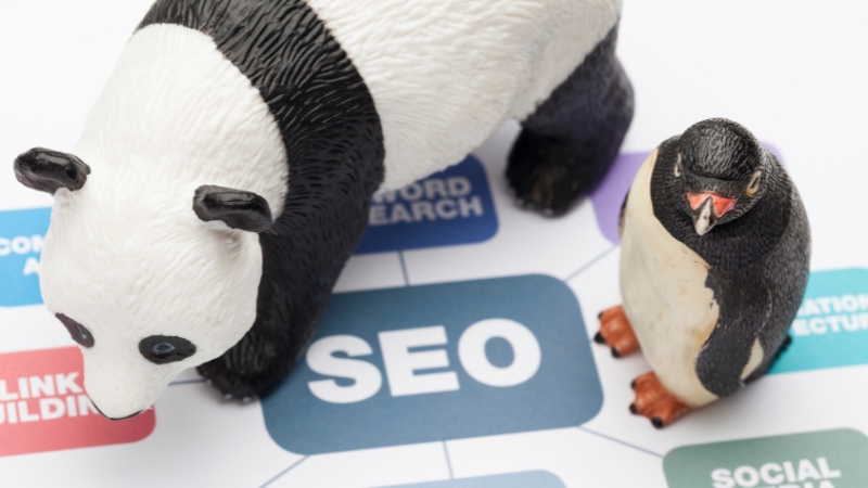 Tác động của Google panda đến SEO