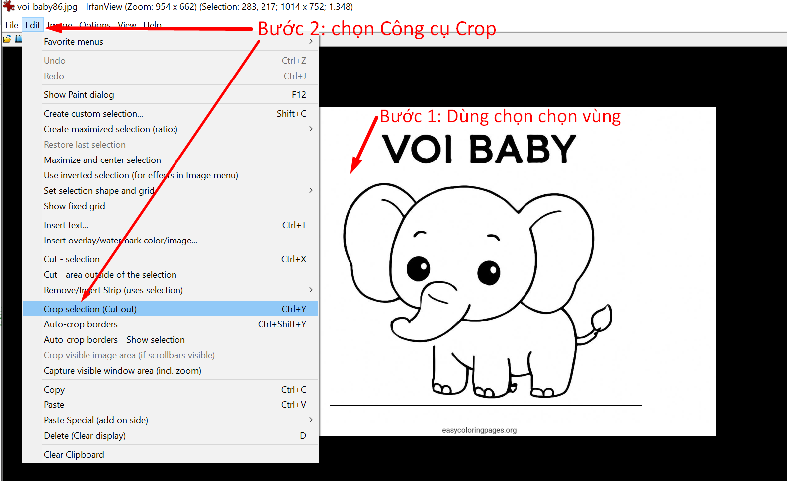 Chọn vùng rồi bấm chọn vùng hoặc Ctrl + Y để Crop ảnh
